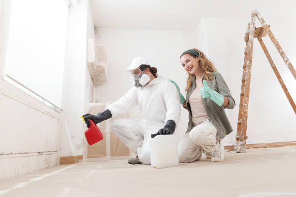 Best Biohazard Mold Removal  in USA